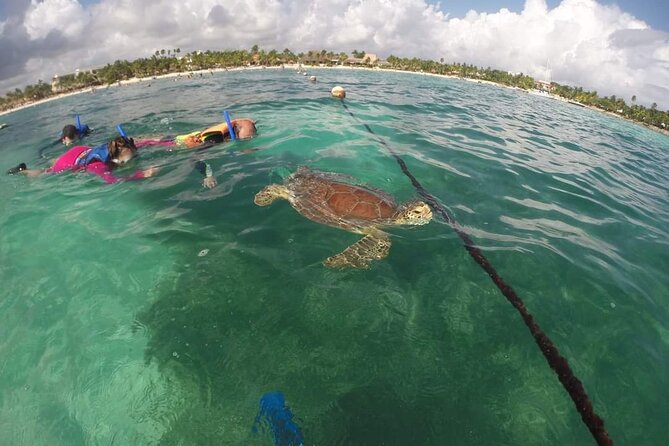 Akumal turtles sanctuary and go pro photos - Price Breakdown: Why $40 Works Here (and What Costs Extra)