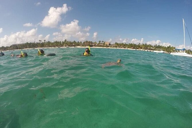 Akumal turtles sanctuary and go pro photos - Should You Book It? My Practical Take
