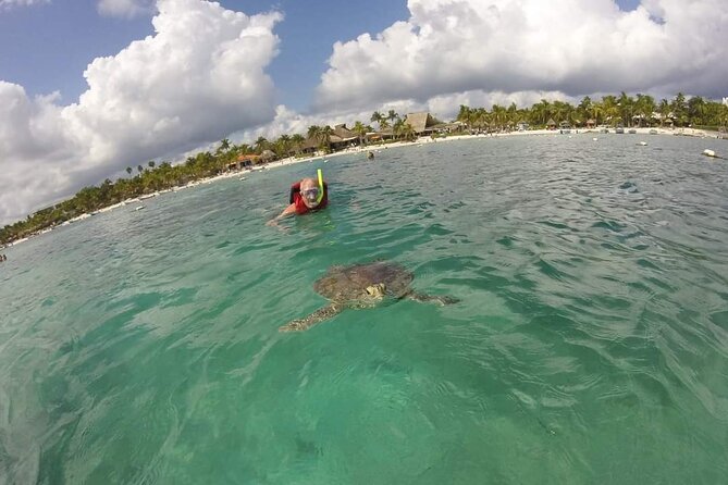 Akumal turtles sanctuary and go pro photos - FAQ