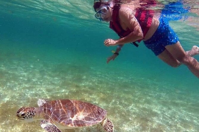 Akumal Turtles Snorkeling and GoPro pictures - Timing, weather, and cancellations: plan around the sea