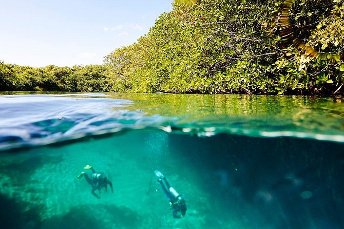 Amazing beginner dive in Tulum cenote (or refresher dive) - Price and value: what you get for $140