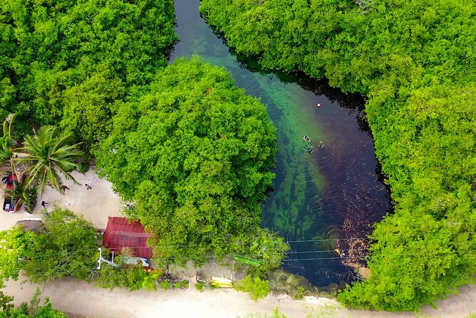 Amazing beginner dive in Tulum cenote (or refresher dive) - Timing, transport, and the practical flow of your half day