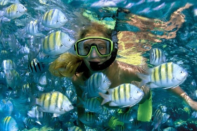 Aquatic Paradise in Tulum: Snorkel Yalku, Swim Cenote & Kaan Luum - Kaan Luum and Yal-ku: the real reason this day works