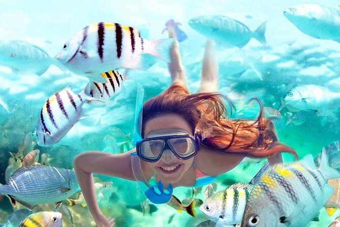 Aquatic Paradise in Tulum: Snorkel Yalku, Swim Cenote & Kaan Luum - Price and value: $105 plus the local tax reality