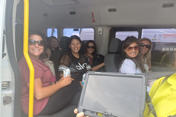 Arrival from Tulum Airport Private Transportation in Minivan - From Tulum Airport to your door in about 45 minutes