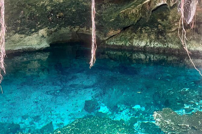 ATV cenote tour Tulum – Mayan Jungle ATV & Cavern Experience - Hidden Nohoch cenote: swimming in stalactite country