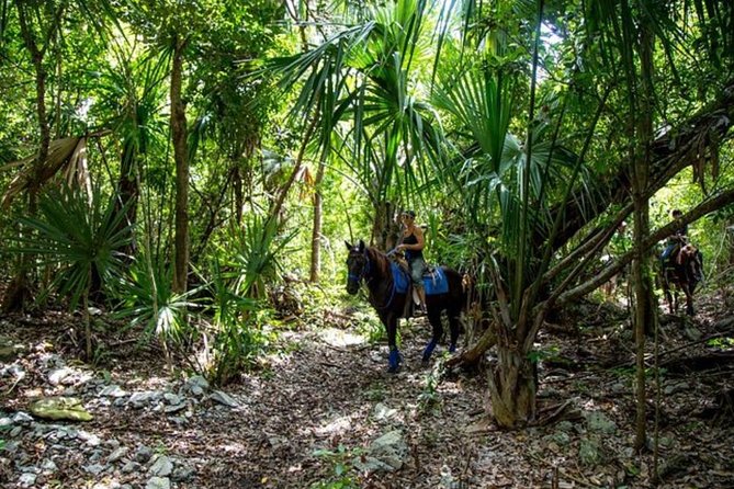 Award-winning Classic Horseback Ride (max. 6 riders) - The trail ride itself: narrow jungle tracks, wider stretches, and a midway stop