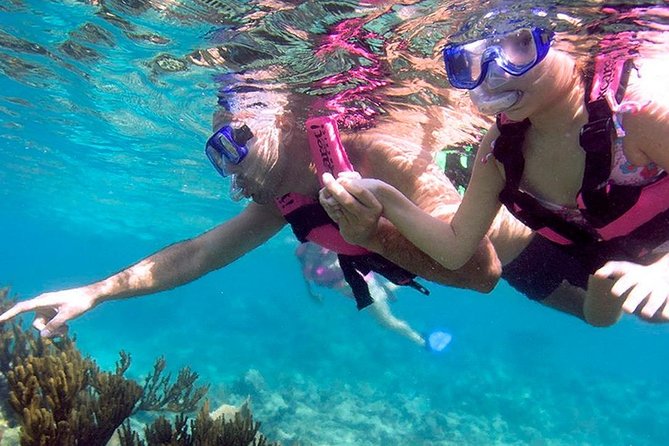 Awesome Tour Day at Xcaret Plus + Transportation from Riviera Maya - What It Feels Like Day-to-Day: Pacing, Crowds, and Time Use