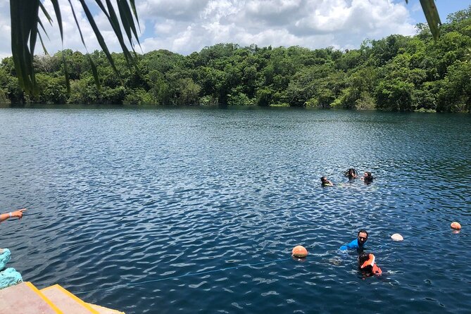 Bacalar Lagoon! Kayaks & Cenote Azul From Playa Del Carmen - Breakfast, lunch, and what to bring so the day runs smoothly