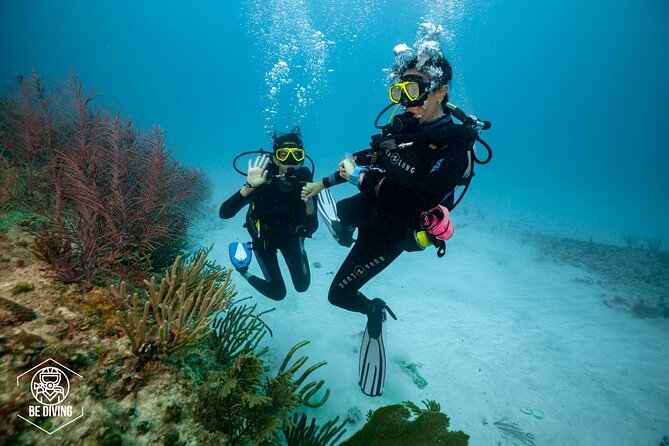 Basic Diver - Bautismo - Theory Class: The Stuff That Stops Panic From Running the Show