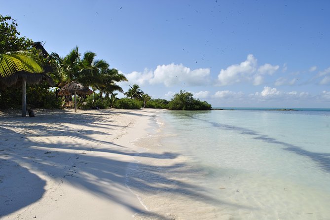Beach Escape: Isla Contoy and Isla Mujeres with Snorkeling. - Pickup and getting to the marina without losing your morning