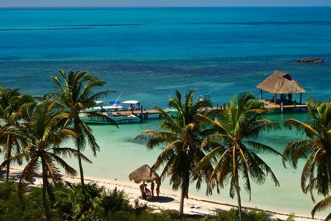 Beach Escape: Isla Contoy and Isla Mujeres with Snorkeling. - Reef snorkeling off Isla Contoy: your best chance at fish (with a safety reality check)