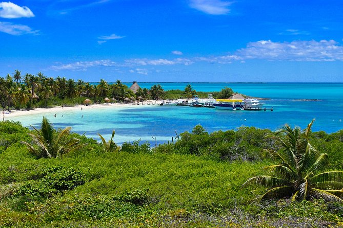 Beach Escape: Isla Contoy and Isla Mujeres with Snorkeling. - Flamingos snack stop: quick fuel, included ticket, short stretch