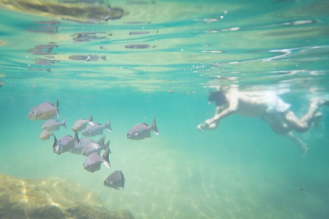 Best in Class: Private Snorkeling Xpedition - Guide impact: why Ivan, Dani, and Roberto can make or break the day