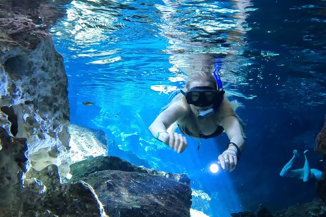 Best in Class: Private Snorkeling Xpedition - Meeting at 8:00 am and building a smooth 5.5-hour plan