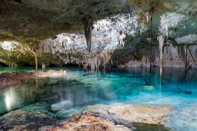 Bestseller! Tulum Private Tour with Turtles and Cenote Snorkeling - Private van comfort, plus the day stays organized