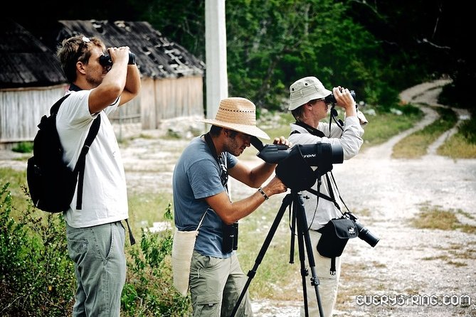 Bird Watching in Sian Ka´an Muyil - Guides, Binoculars, and How You’ll Actually See Birds