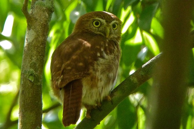 Bird Watching in Sian Ka´an Muyil - Price and What You Actually Get for $119