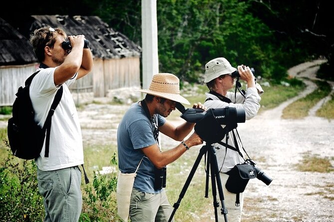 Birdwatching in Sian Ka´an Muyil from Tulum - Shared Group Tour - Why Muyil and Sian Ka’an work for birding from Tulum
