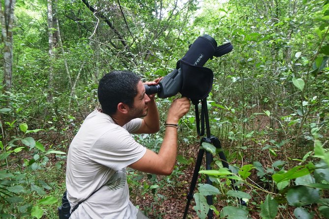 Birdwatching in Sian Ka´an Muyil from Tulum - Shared Group Tour - Stop 3 (optional): Lake Chunyaxche boat, lagoons, canals, and a lazy float