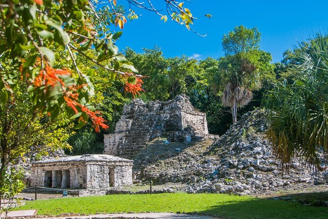 Birdwatching in Sian Ka´an Muyil from Tulum - Shared Group Tour - Price and value: what $119 covers, what costs extra, and where it adds up