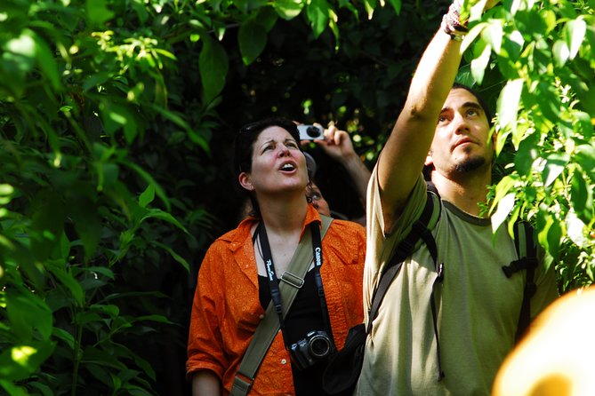Birdwatching in Sian Ka´an Muyil from Tulum - Shared Group Tour - What to bring for a smoother morning in Muyil