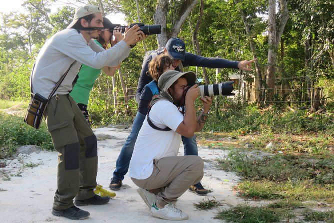 Birdwatching Sian Ka'an Biosphere Reserve - The early start that makes the birds possible