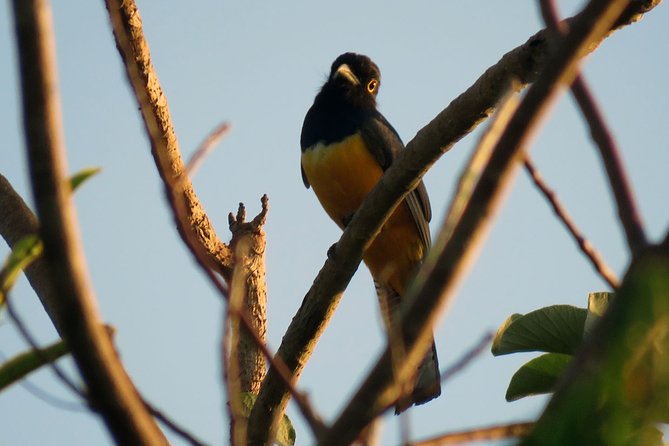 Birdwatching Sian Ka'an Biosphere Reserve - Logistics that can affect your comfort