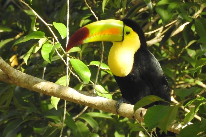Birdwatching Sian Ka'an Biosphere Reserve - Getting oriented: where you start at Muyil