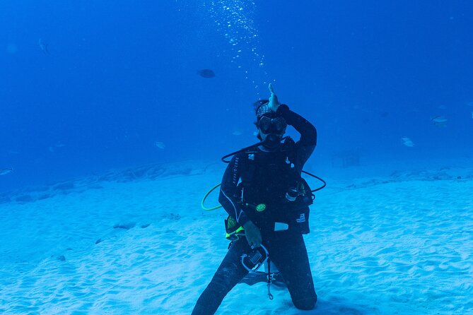 Bull Shark Dive in Playa del Carmen – Dive Machine Experience - Universal Inclusion: what it means in real life