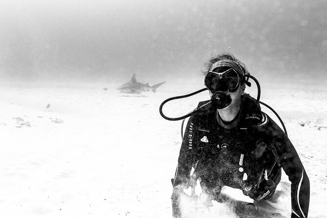 Bull Shark Dive in Playa del Carmen – Dive Machine Experience - Who this bull shark outing suits best