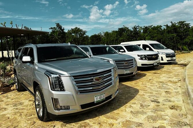 Cancun Airport: Private Transfers From/To Akumal Half Moon Bay - Safety and Scam-Proofing: The One Airport Tip That Matters