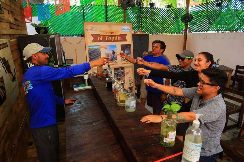 Cancún: Beachside Tacos & Town Tour with tequila tasing - Stop 2: chicken and carne asada on soft corn tortillas