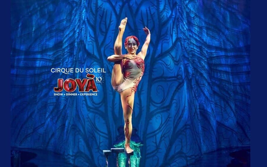 Cancún: Cirque du Soleil JOYÀ Ticket - Entering The Vidanta Riviera Maya Theater: Intimate Cirque in a Real Destination