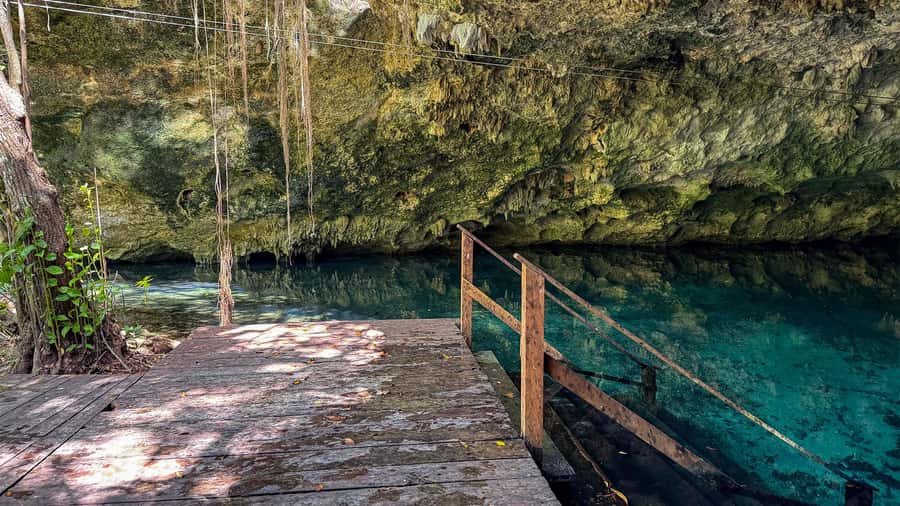 Cancun: Explore Tulum, swim with turtles, cenote, and snorkel in caves - From Cancun to Tulum: how the long ride sets the tone