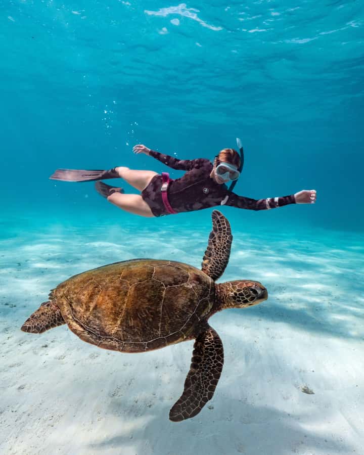 Cancun: Explore Tulum, swim with turtles, cenote, and snorkel in caves - Mayan chocolate and tequila: small tastings with real context