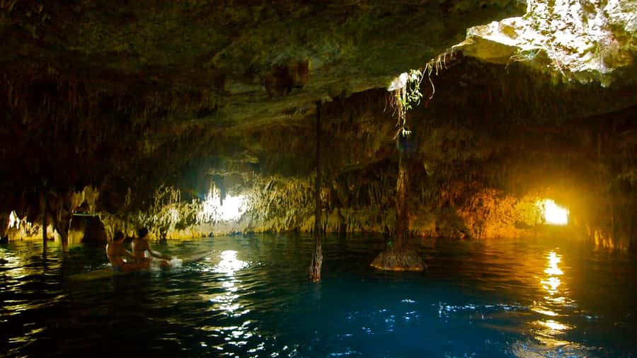 Cancun: Explore Tulum, swim with turtles, cenote, and snorkel in caves - Akumal turtle snorkeling: what you’ll see and what the rules mean