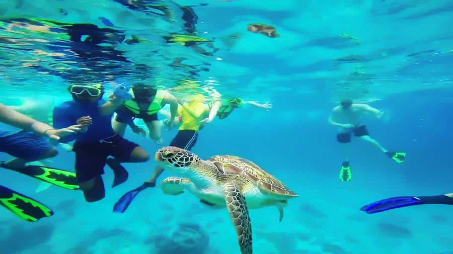 Cancun: Explore Tulum, swim with turtles, cenote, and snorkel in caves - Cenote Nohoch Nah Chich: walking in, snorkeling through, leaving changed