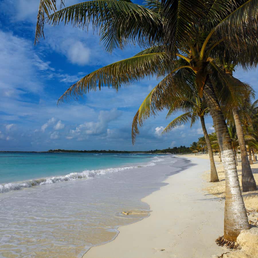 Cancun: Explore Tulum, swim with turtles, cenote, and snorkel in caves - Who this tour fits best (and who should skip it)