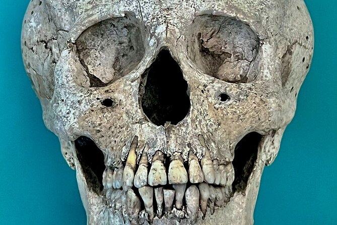 Cancun gems: Mayan Museum, Beach watching, Local Market, & Lunch - Mayan Museum in Cancun’s Hotel Zone: Gardens, Ceiba Trees, and Alebrijes