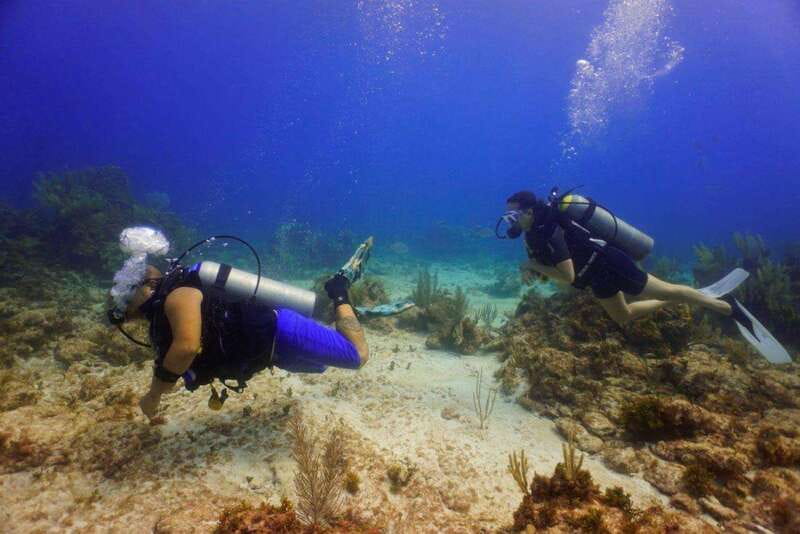 Cancun: MUSA Diving for certified divers morning dive trip - Key highlights to know before you book