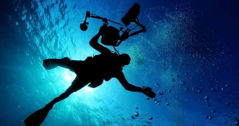 Cancun: MUSA Diving for certified divers morning dive trip - MUSA Underwater Museum of Art: what you’re actually paying for