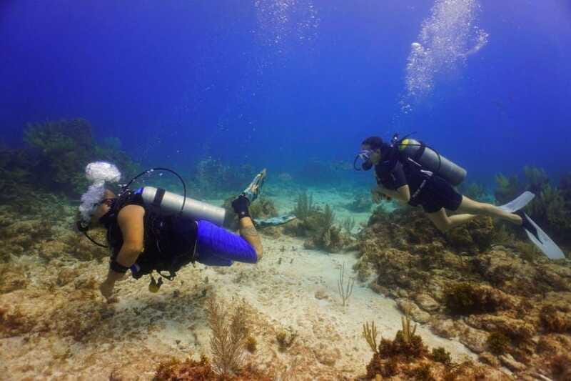 Cancun: MUSA Diving for certified divers morning dive trip - The reef side of the trip: reefs + statues in one rhythm