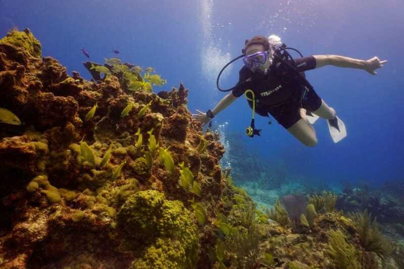 Cancun: MUSA Diving for certified divers morning dive trip - Safety, depth limits, and instructor attention