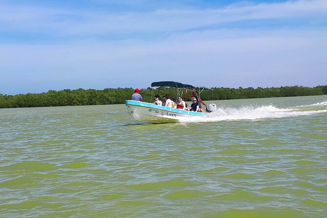 Cancun tour Las Coloradas Pink Lagoon + Rio Lagartos Tour - Las Coloradas Pink Lagoon: what you’ll notice in the first hour