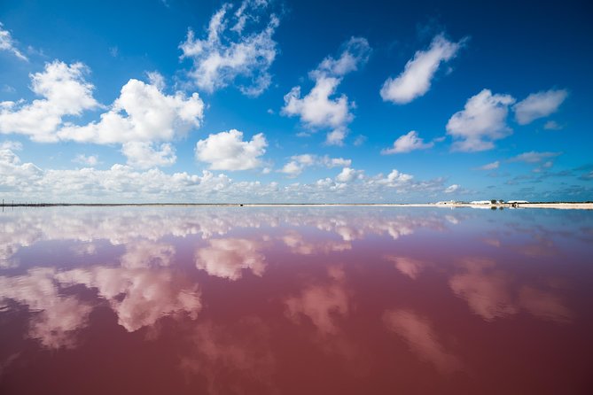 Cancun tour Las Coloradas Pink Lagoon + Rio Lagartos Tour - Guide style and language: how to get clarity on the day