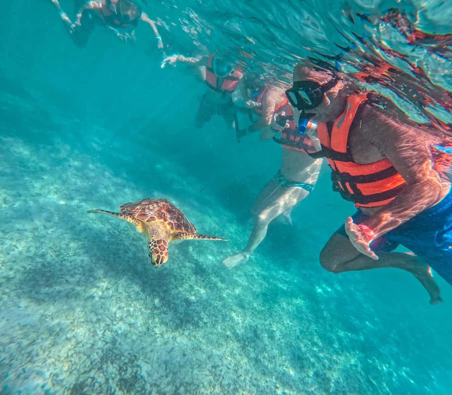 Cancun: Tulum Ruins, Akumal Turtles, Cenote & Caves Tour - Key highlights to know before you go