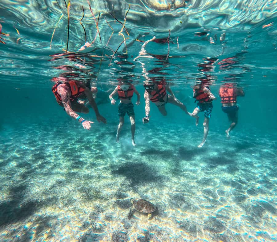 Cancun: Tulum Ruins, Akumal Turtles, Cenote & Caves Tour - A 13-hour Riviera Maya road trip with early Tulum access