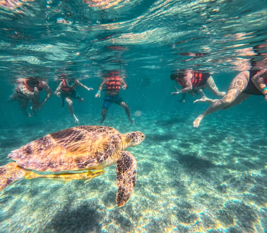 Cancun: Tulum Ruins, Akumal Turtles, Cenote & Caves Tour - Nohoch Nah Chich cenote caves: swim, float, and explore underground rock