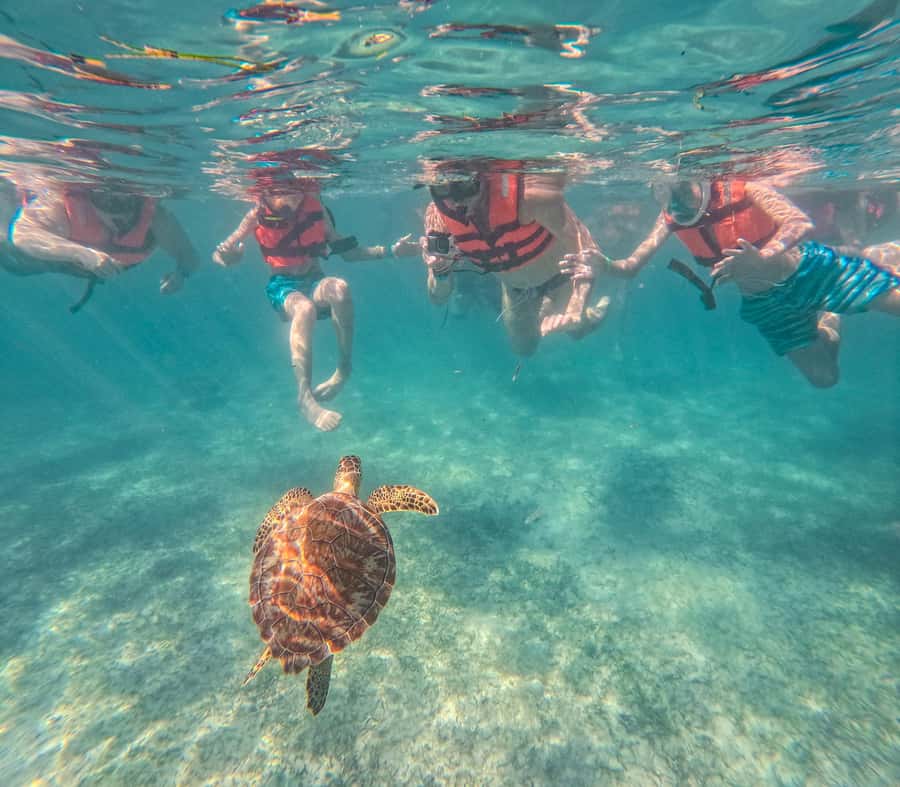 Cancun: Tulum Ruins, Akumal Turtles, Cenote & Caves Tour - Tulum Archaeological Zone: cliffside ruins before the big crowds